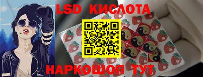 гидра Рыбинск