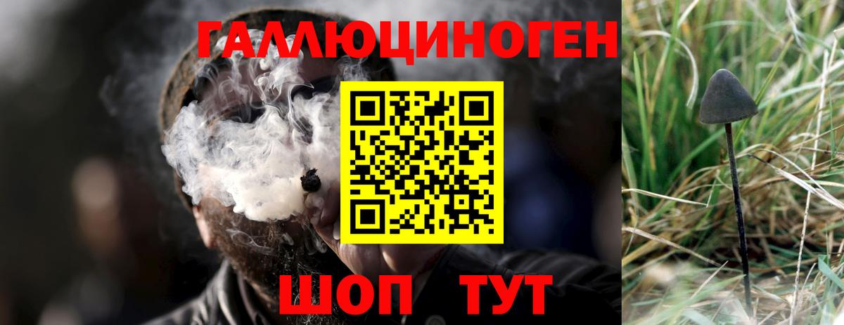 Саяногорск  продажа наркотиков  Вход с VPN  Псилоцибиновые грибы GOLDEN TEACHER 